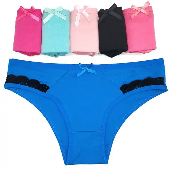 6 x Womens Sheer Spandex / Cotton Briefs - Assorted Colours Underwear Undies 89460